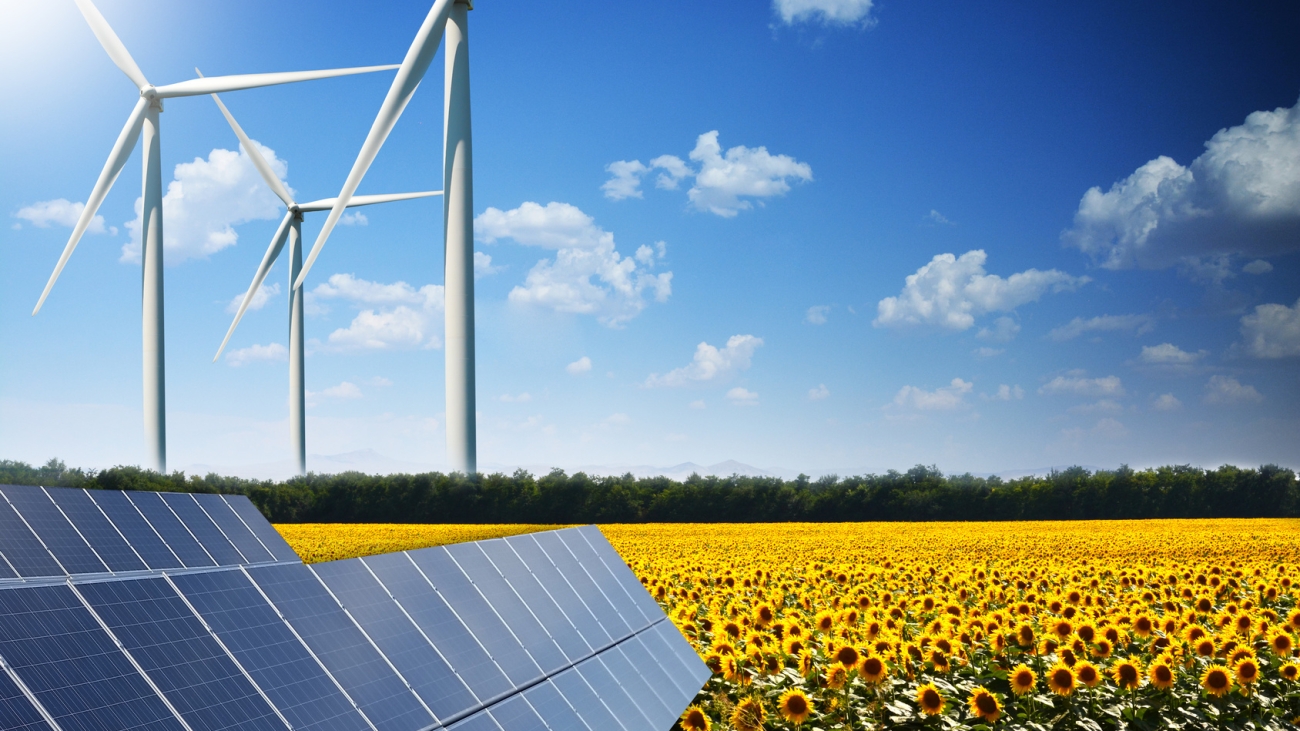 Green energy concept with solar panels and wind turbines on a sunflower field